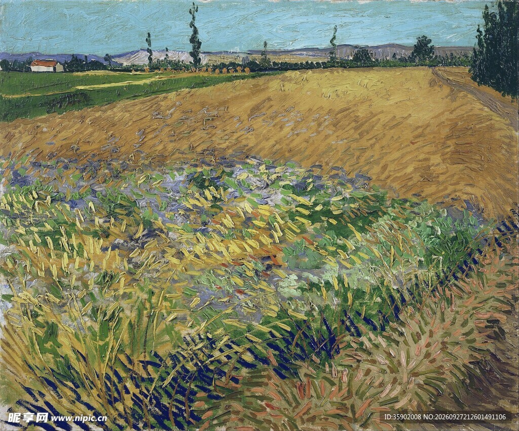 郊野田园风景油画