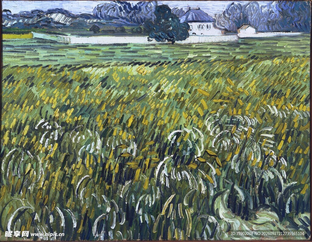 郊野麦田风景油画