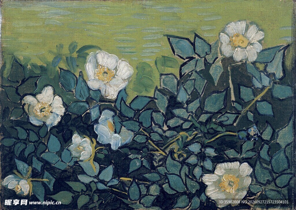 白色蔷薇花卉油画