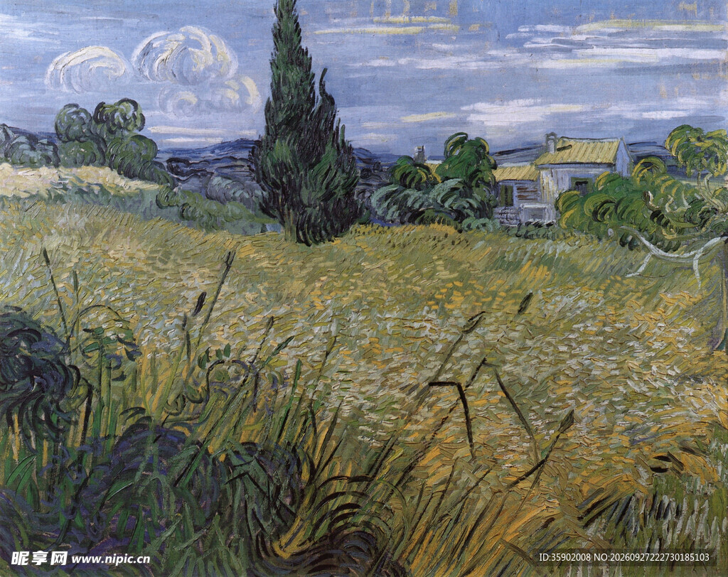 郊野麦田风景油画
