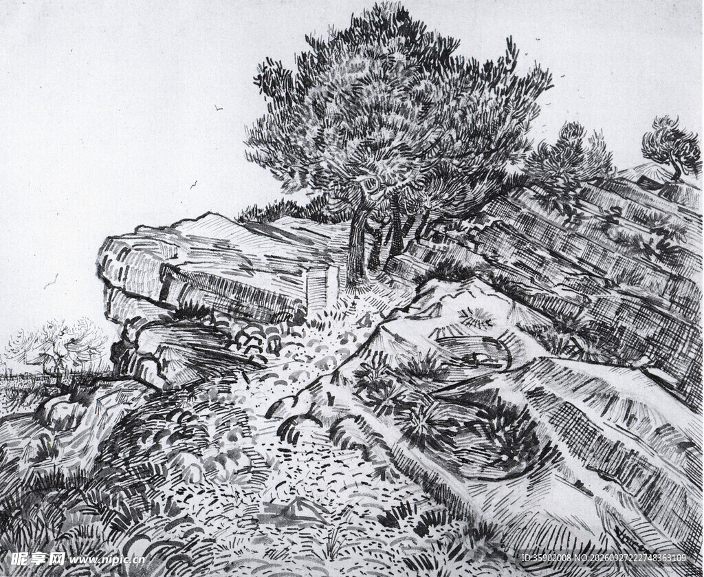 素描山石老树风景