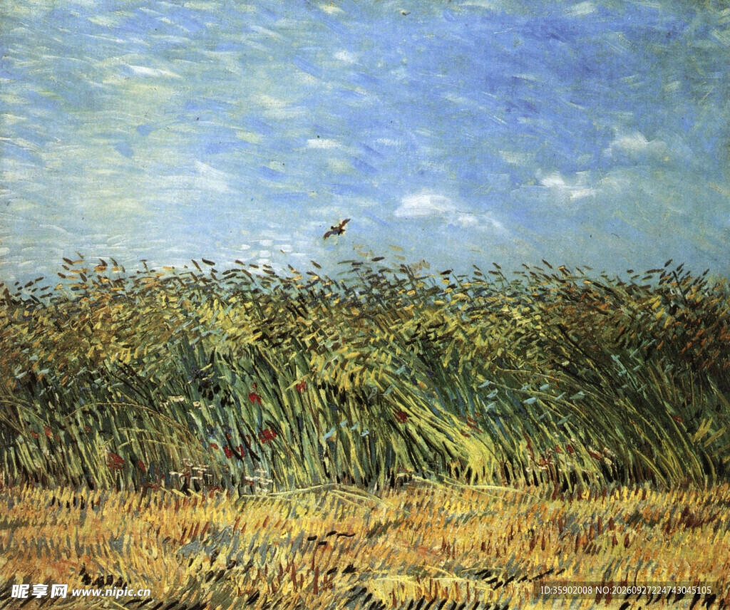 郊野麦田风景油画