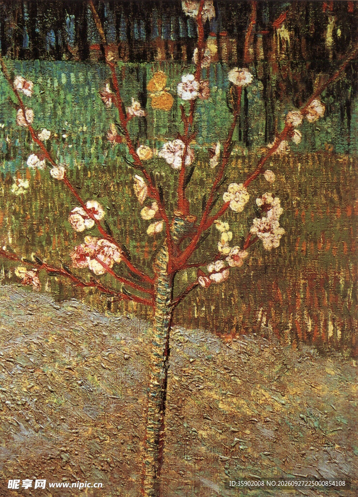 春日开花小树油画