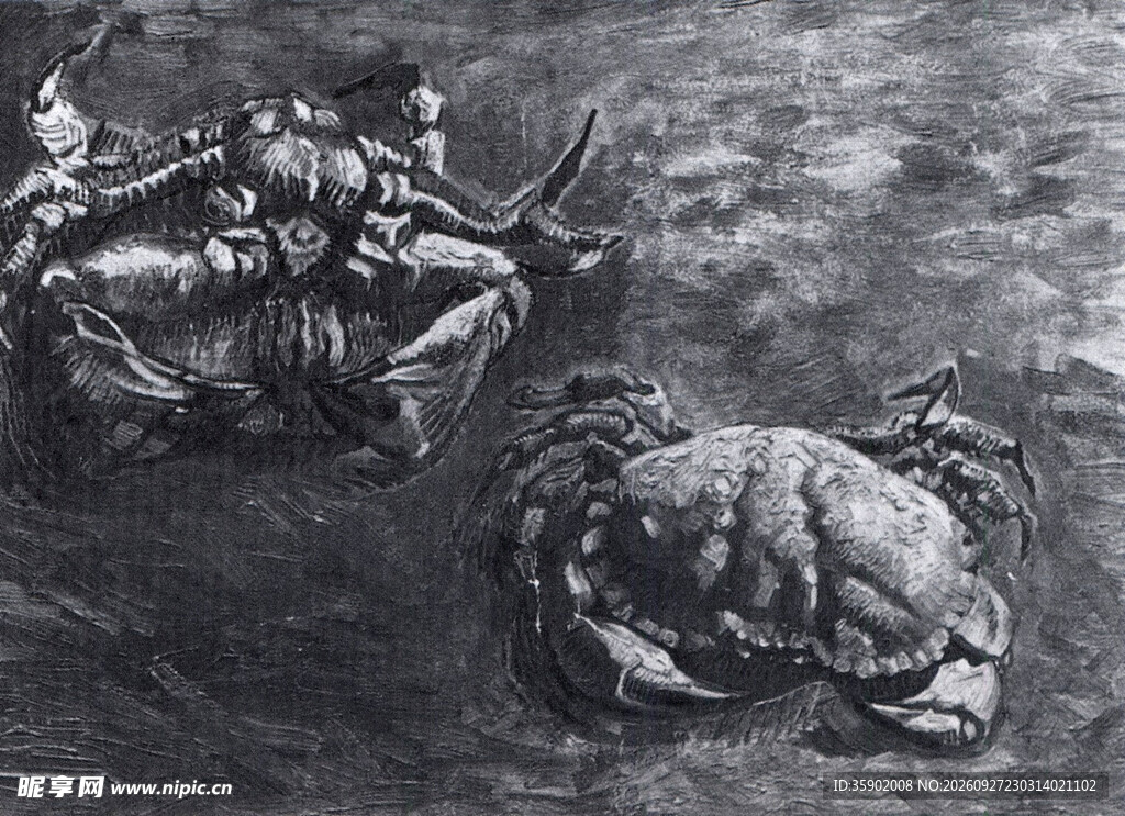 两只螃蟹素描画