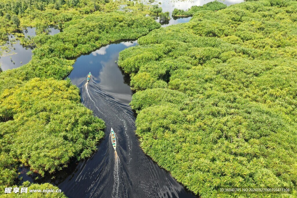 湿地蜿蜒河道绿意盎然