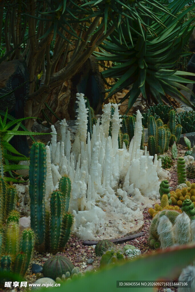 植物园艺术装置景观
