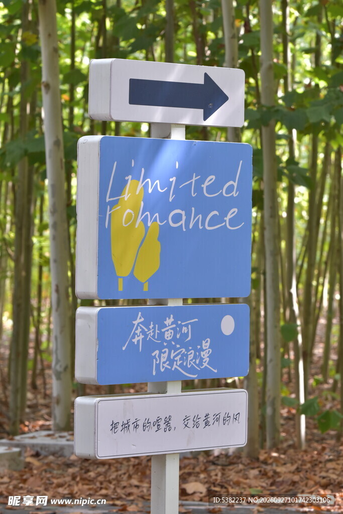 林间步道指示路牌