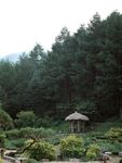 山林间的茅草小屋