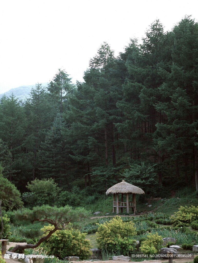 山林间的茅草小屋