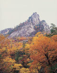 秋日奇峰山野风光