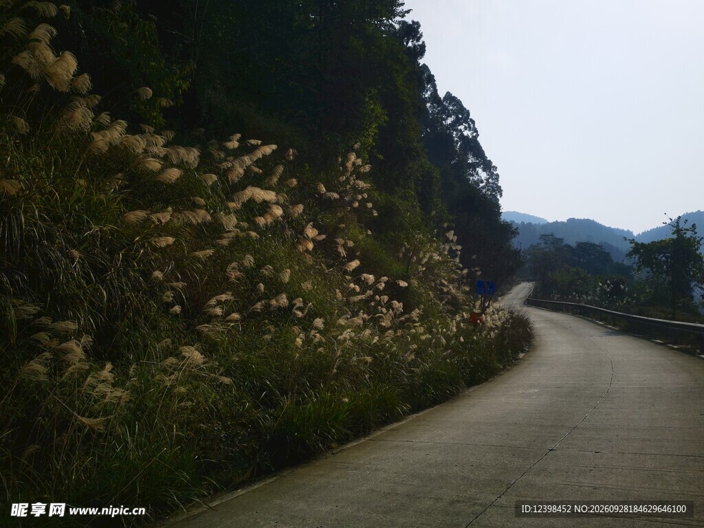 郊野山间公路风景