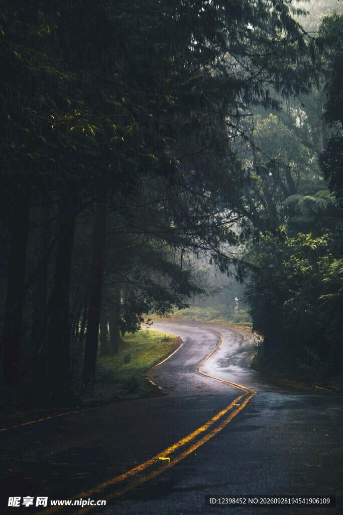 道路
