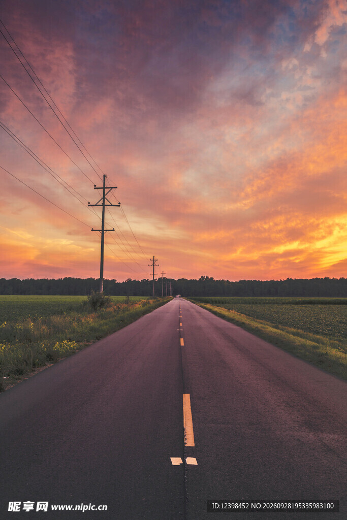 道路