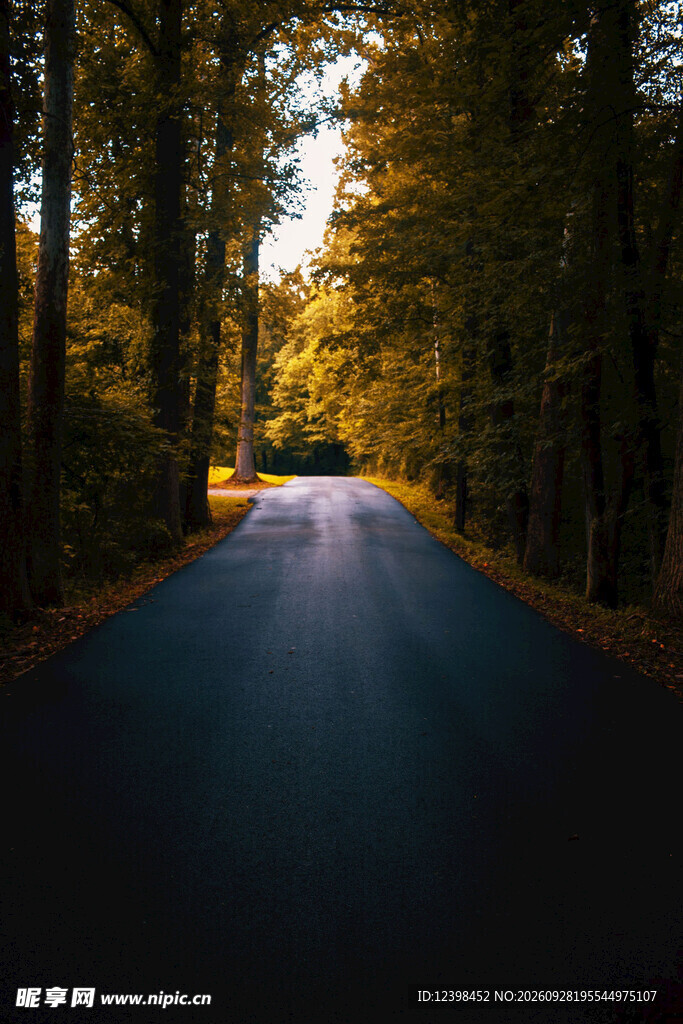 公路