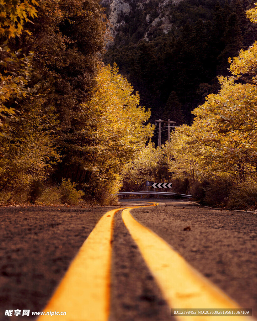 道路