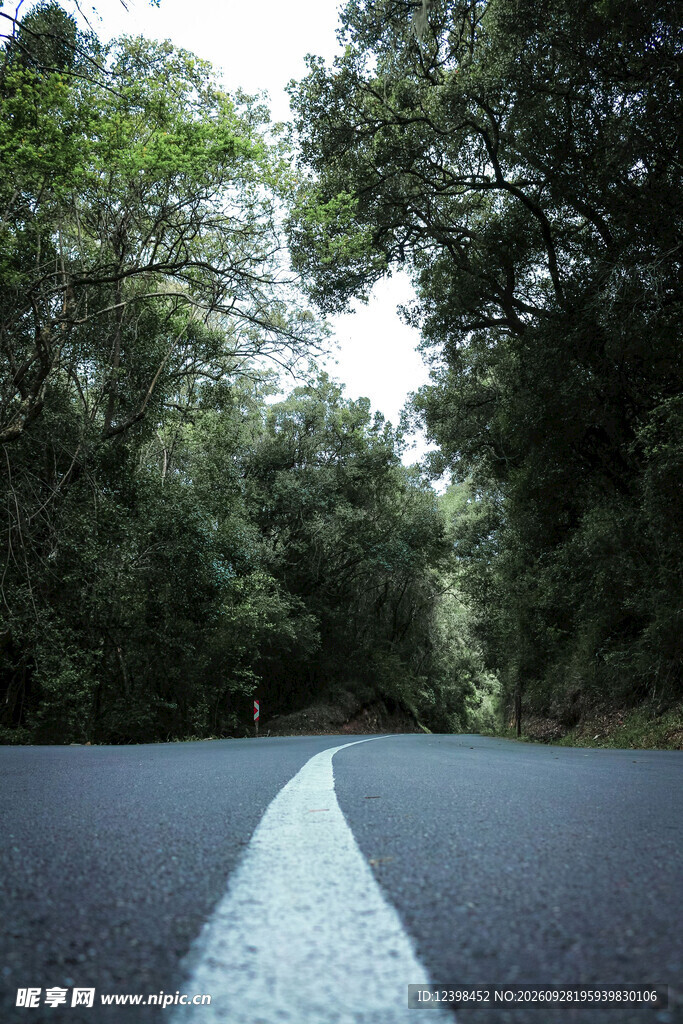 道路