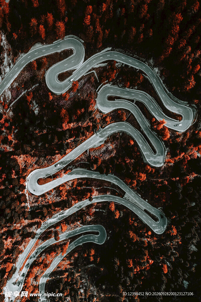 道路