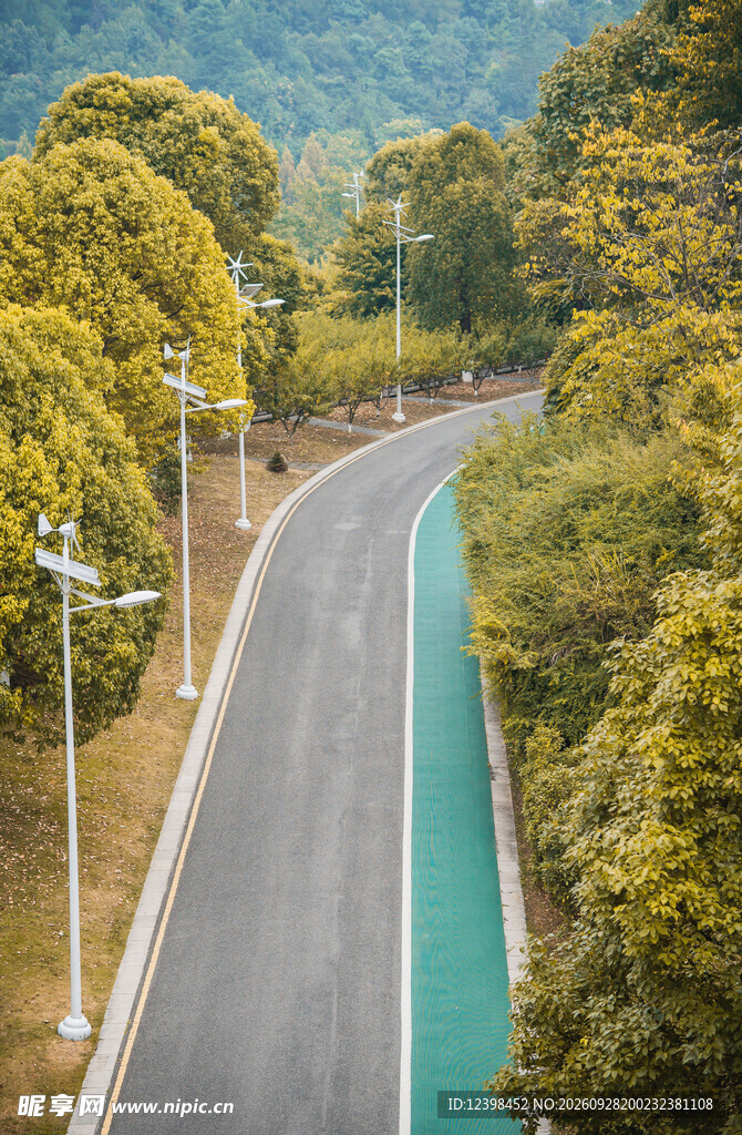 道路