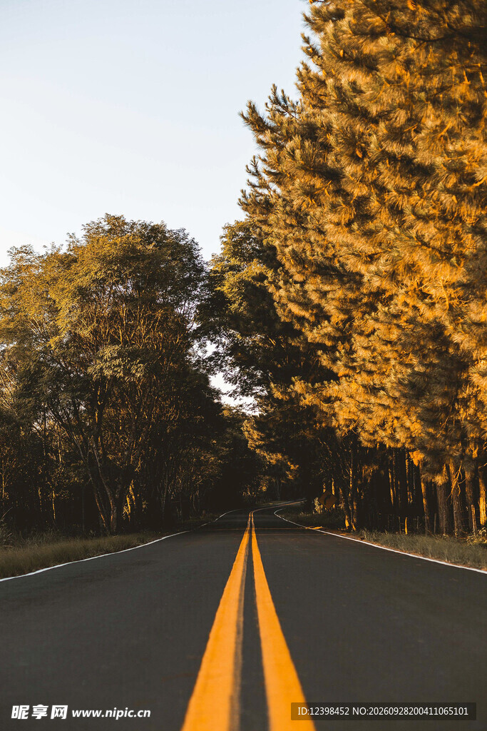 公路景观