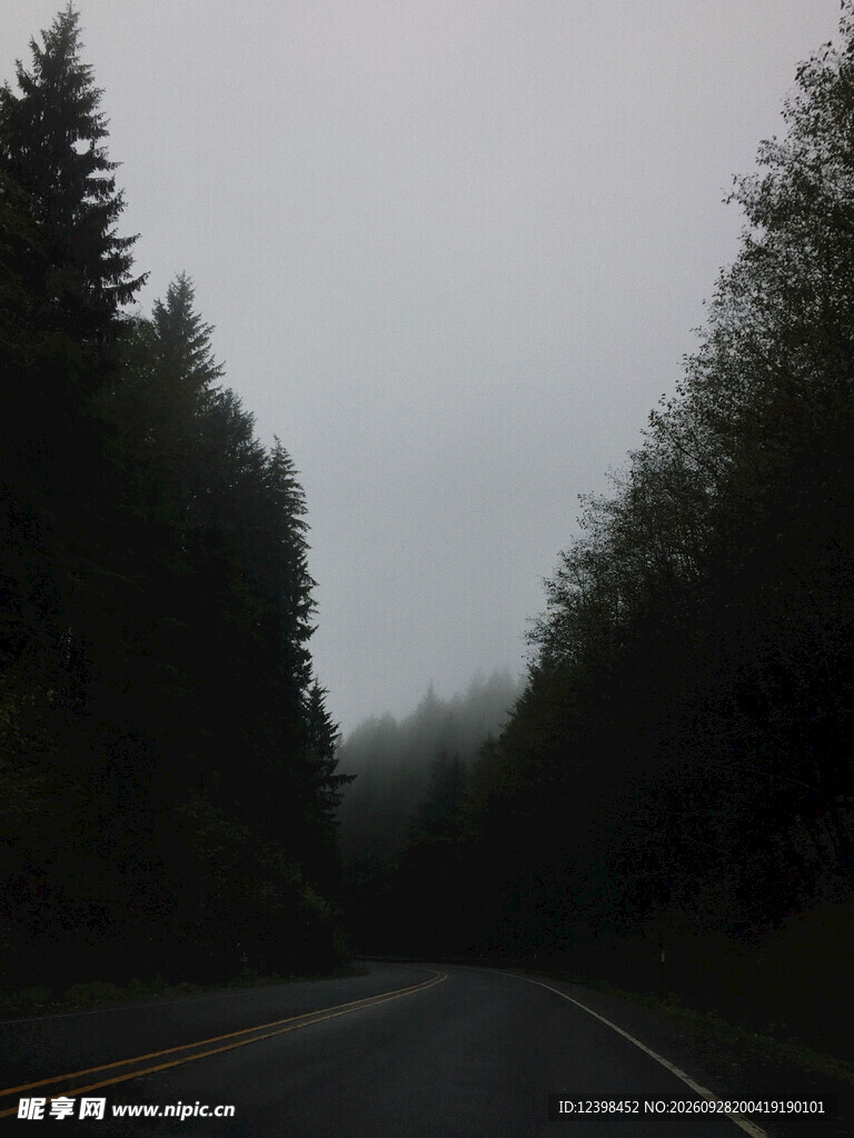道路