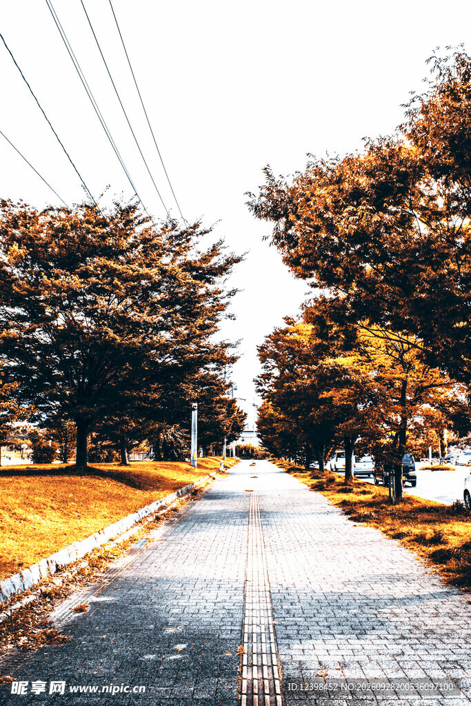 公路景观