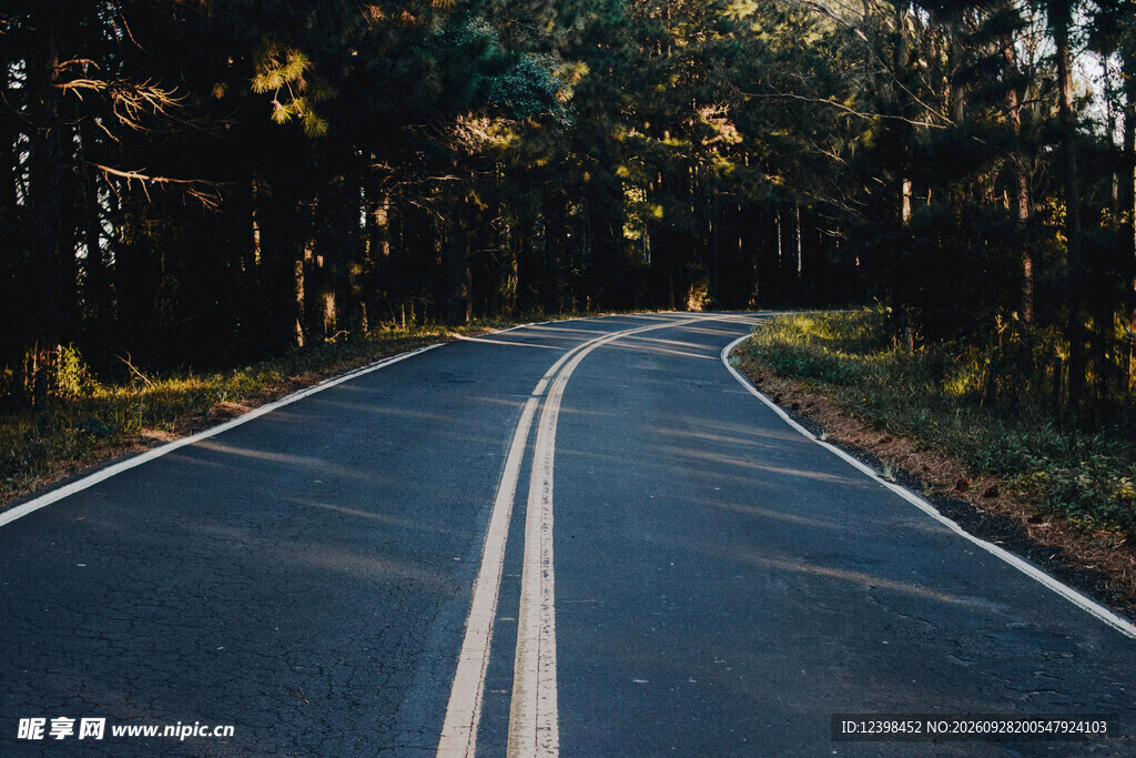 道路