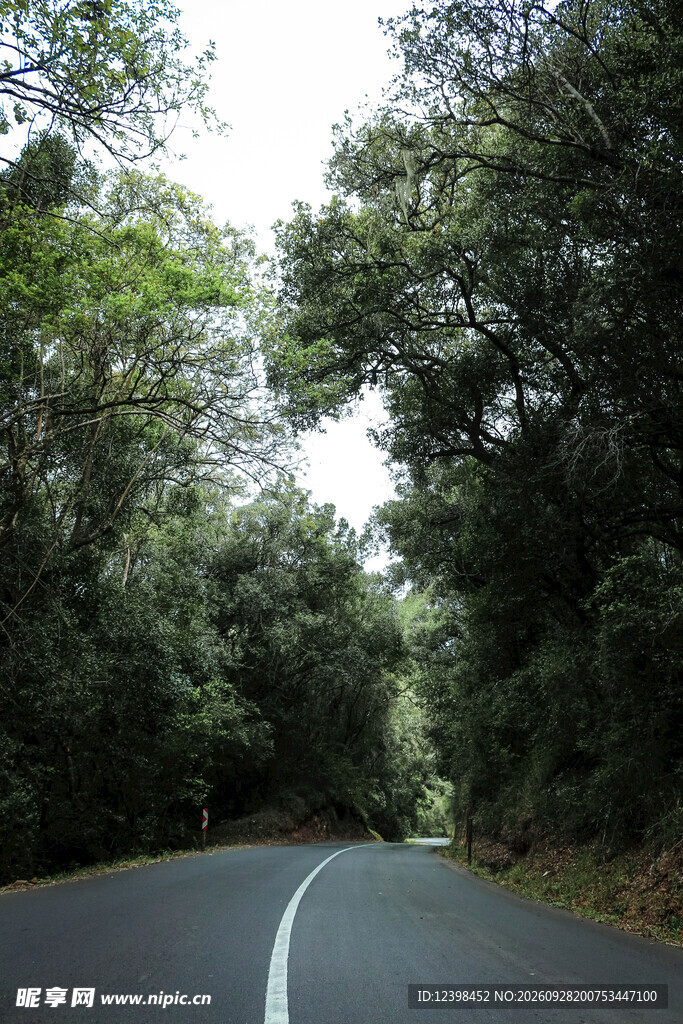 公路景观