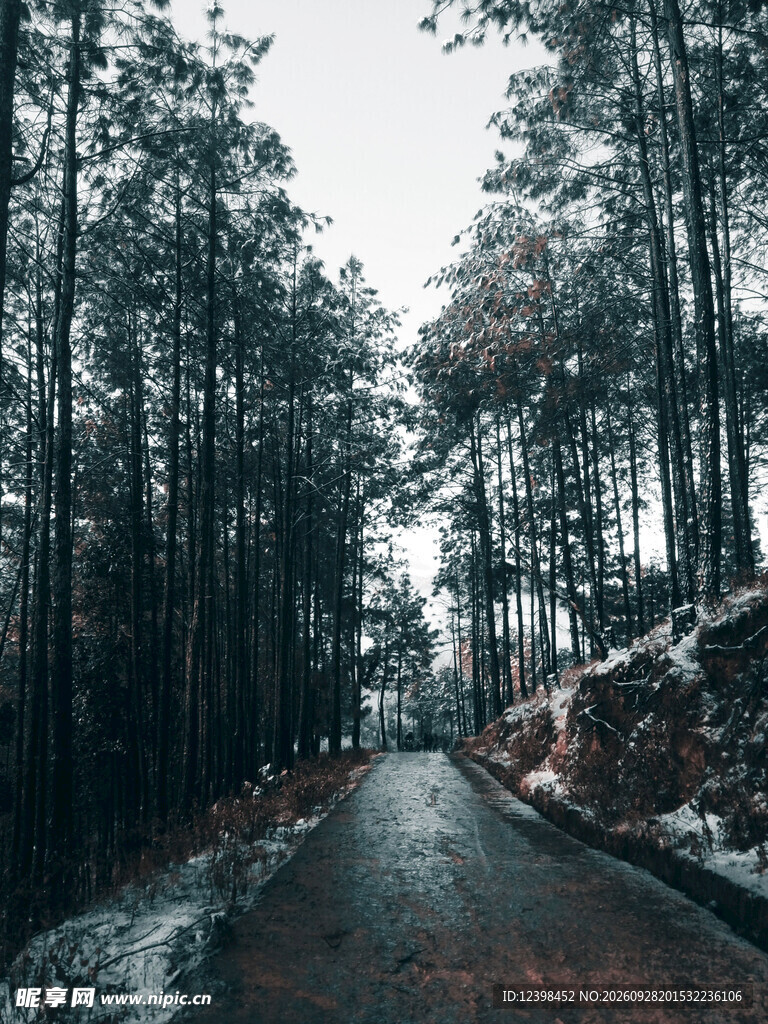 道路
