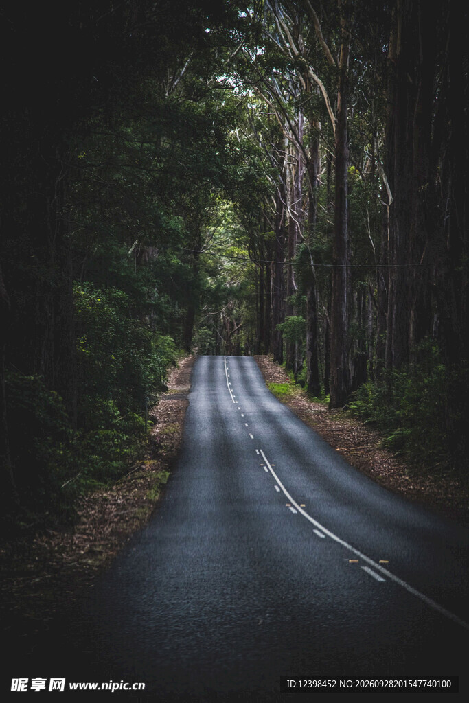 公路