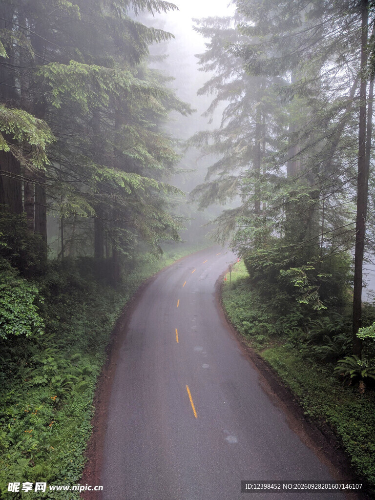 道路