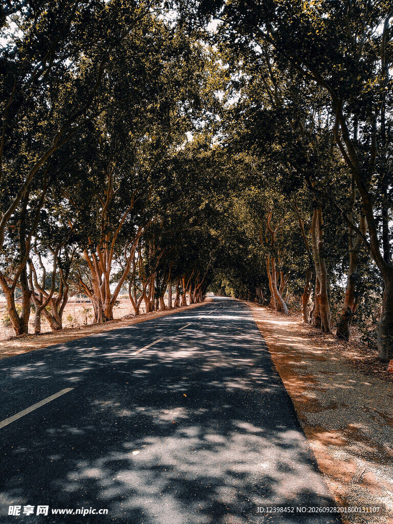 公路