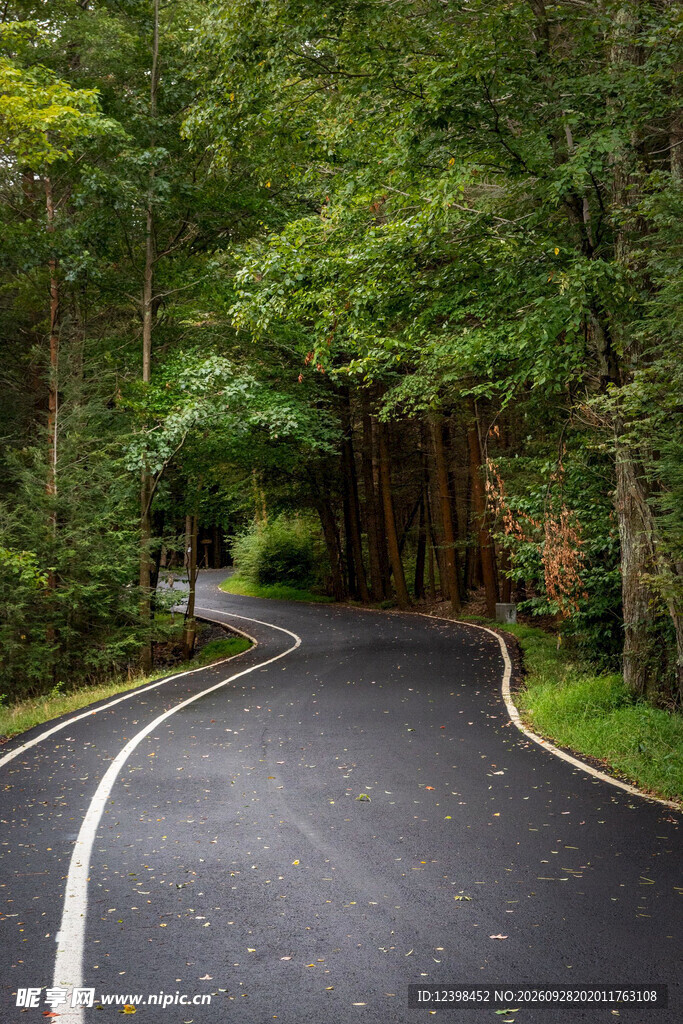 道路