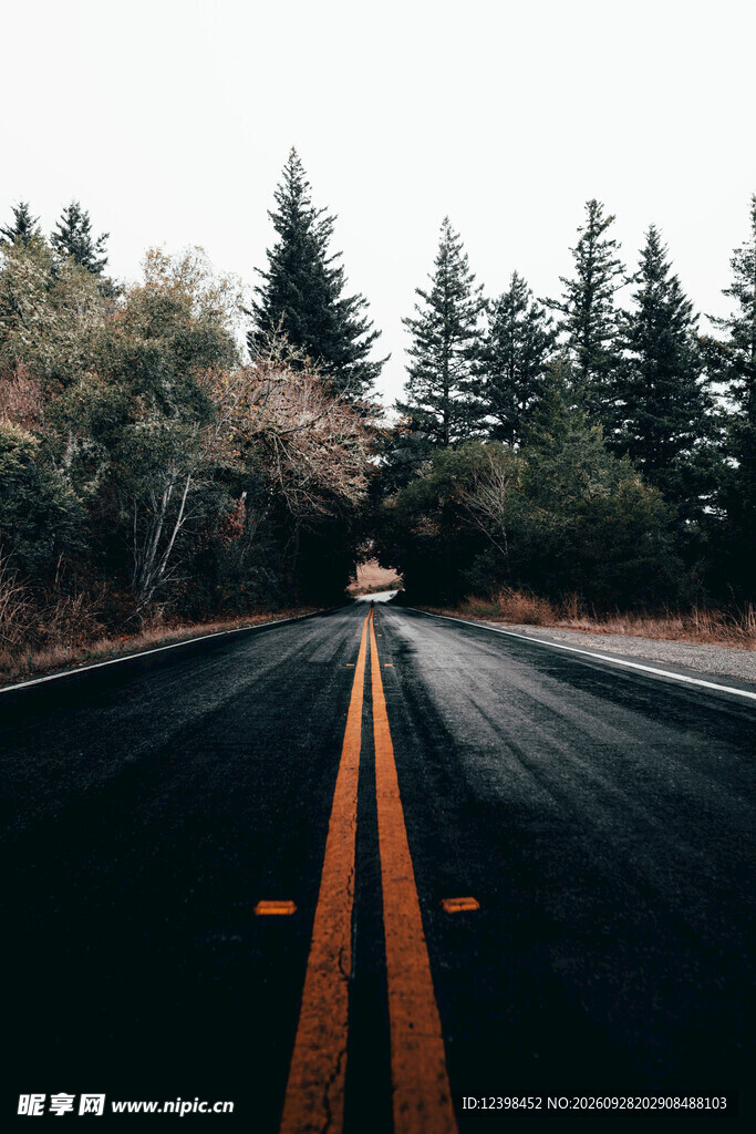 公路