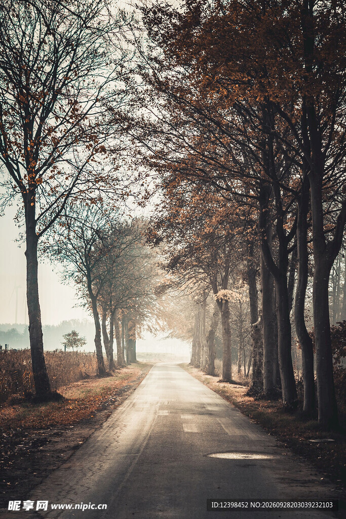 公路