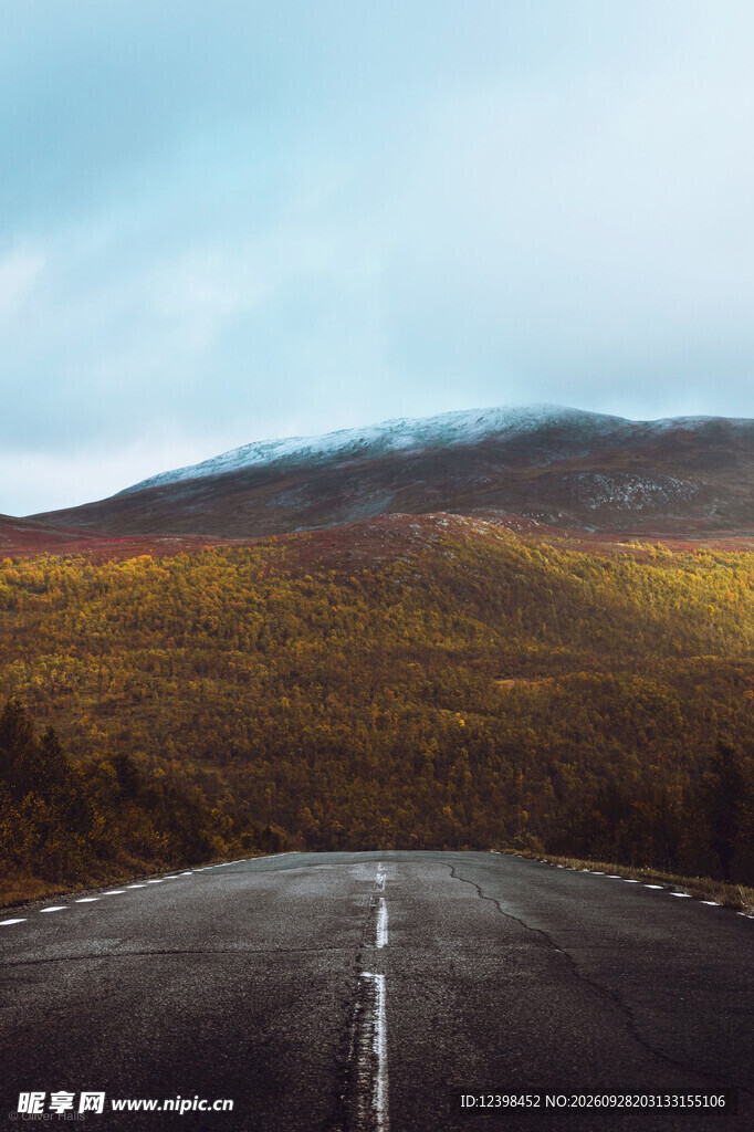 道路