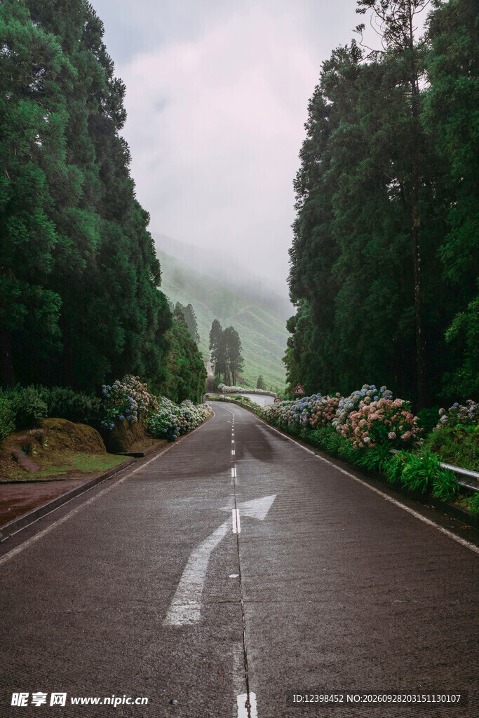 道路