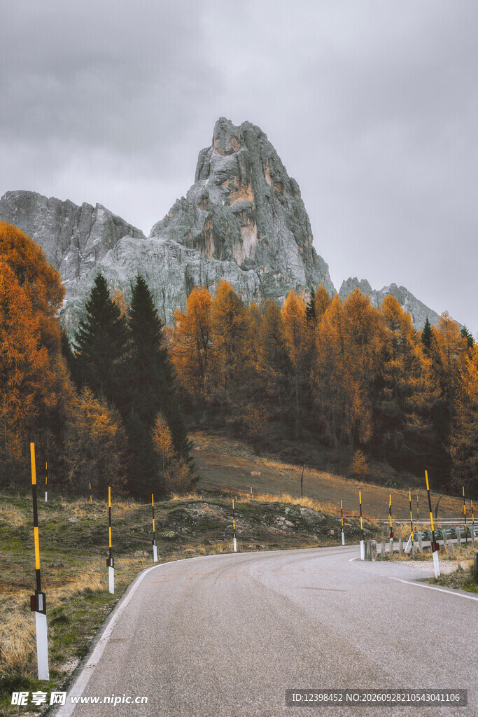 道路