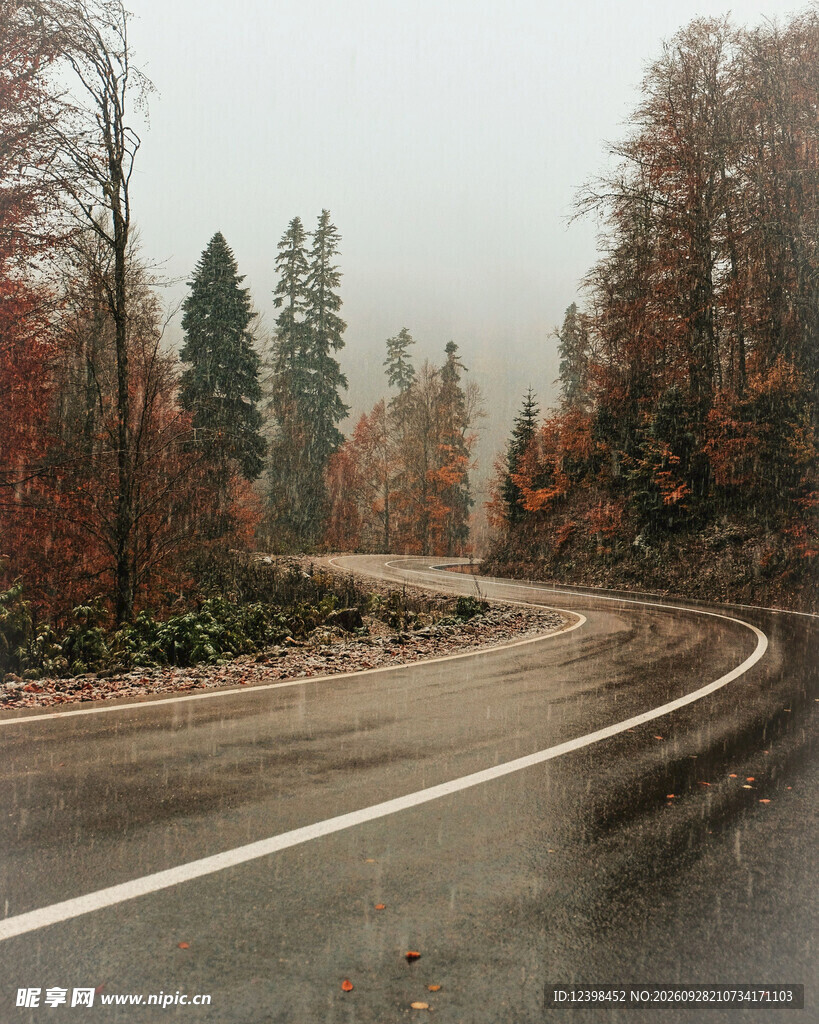 道路