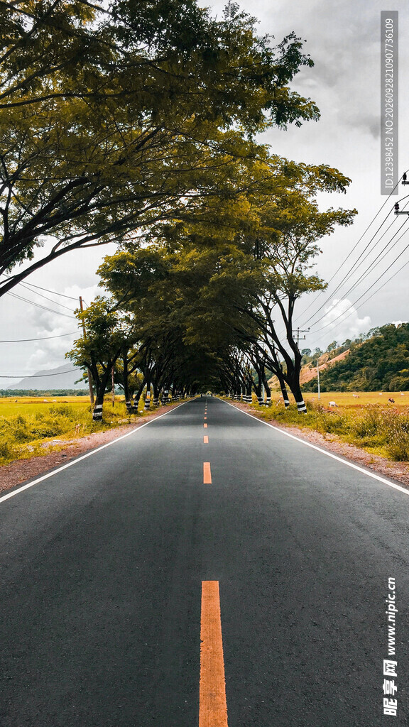 公路景观