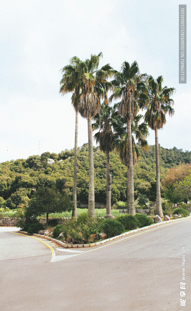 公路