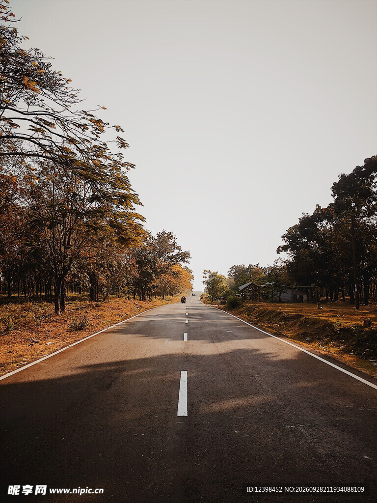 道路