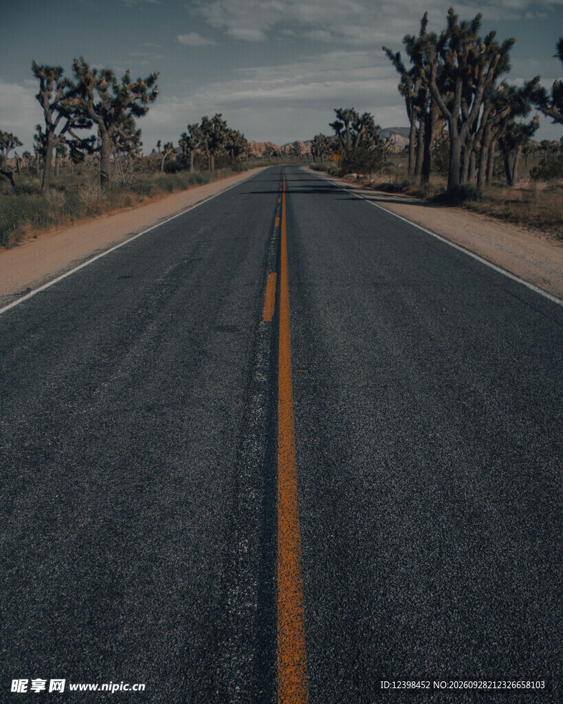 公路景观