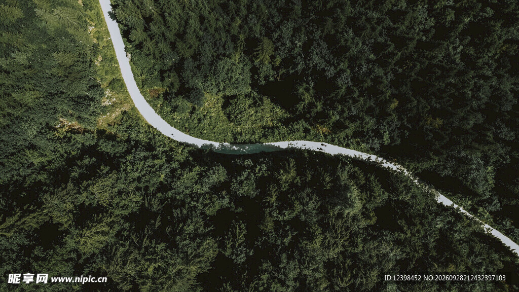 道路