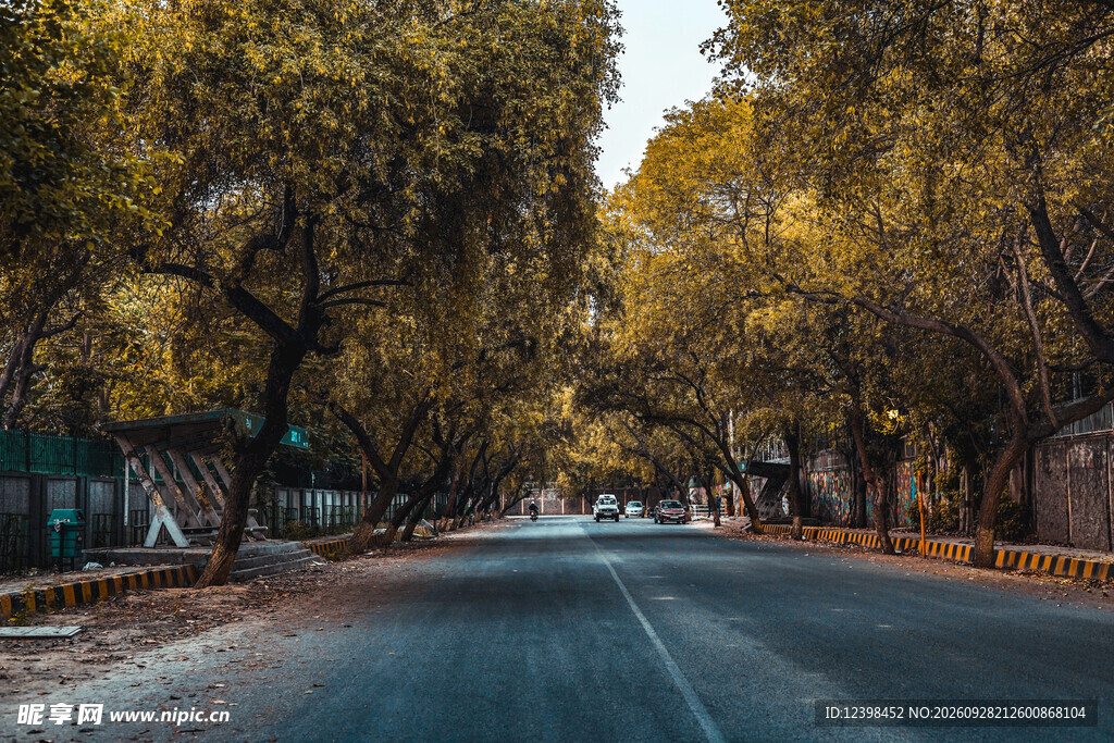 公路景观