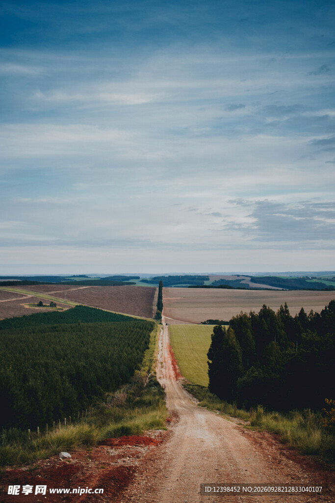 道路
