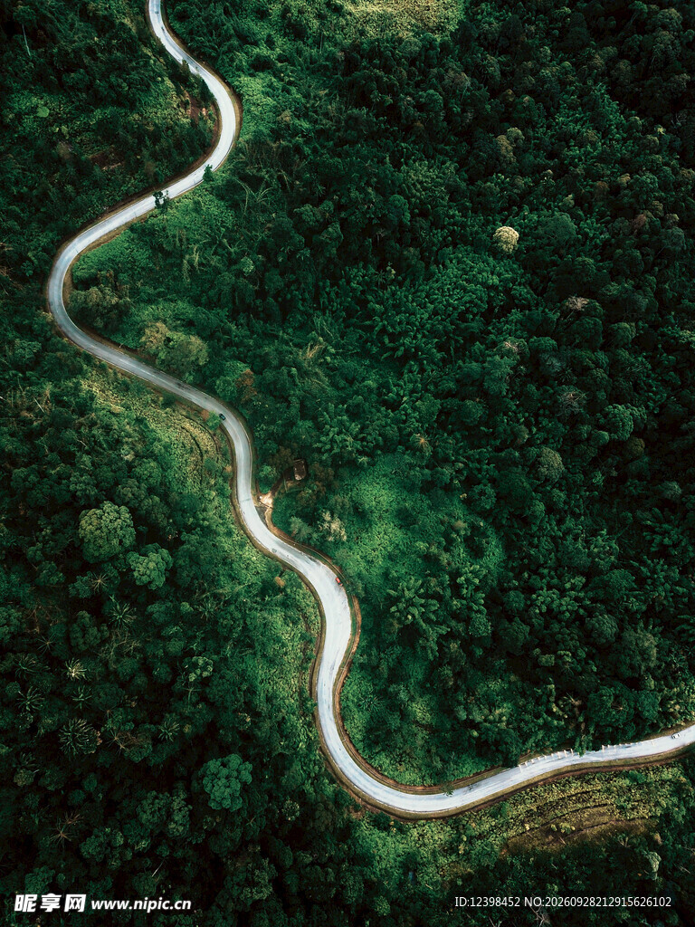 道路