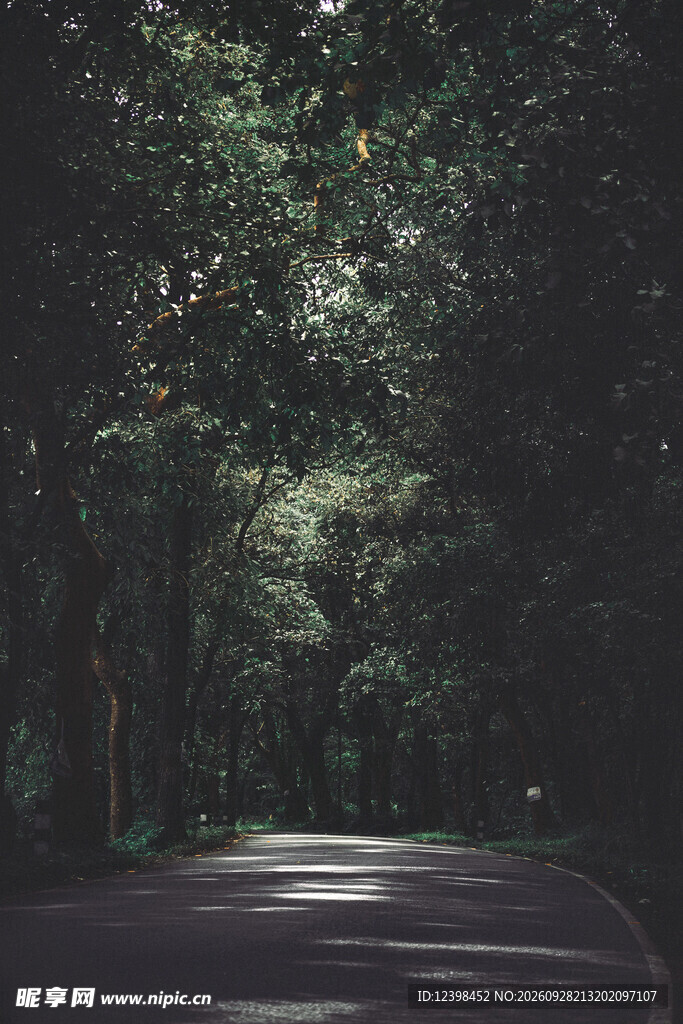 公路