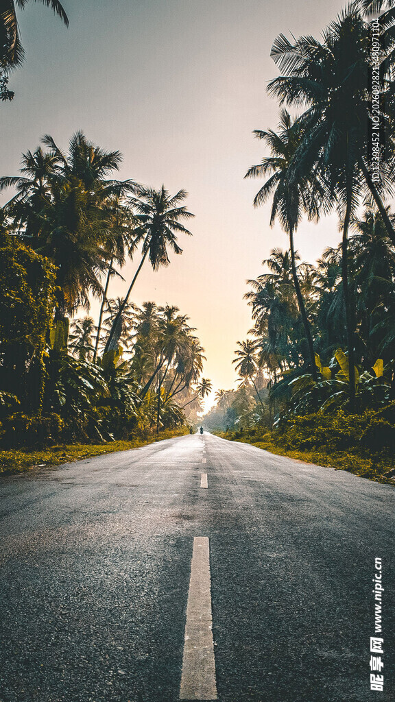 公路景观