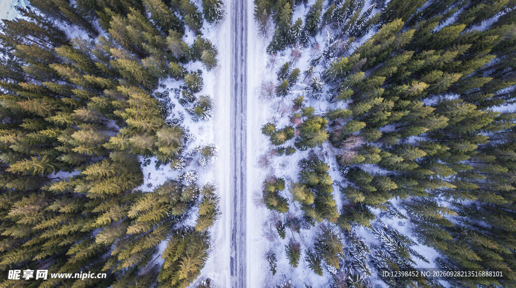 道路