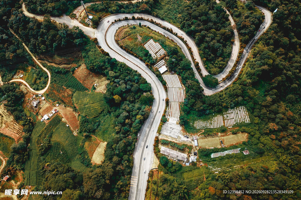 道路
